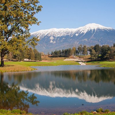 Novi Golfportal